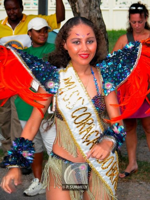 Carnaval
Carnaval de Guyane 2003
Mots-clés: Guyane;Amrique;tropiques;carnaval;festivit;dguisement