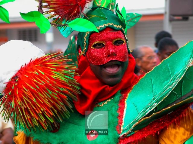 Carnaval
Carnaval de Guyane 2003
Mots-clés: Guyane;Amrique;tropiques;carnaval;festivit;dguisement