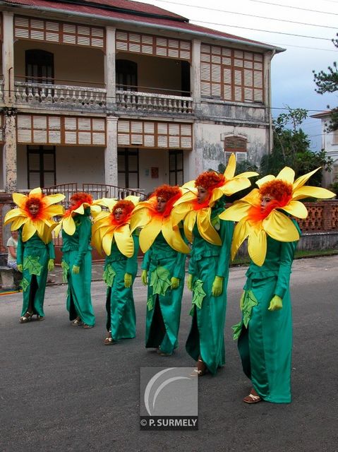 Carnaval
Carnaval de Guyane 2003
Mots-clés: Guyane;Amrique;tropiques;carnaval;festivit;dguisement