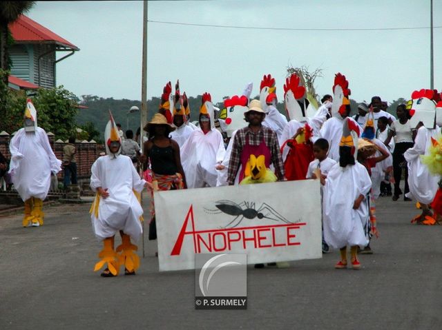 Carnaval
Carnaval de Guyane 2003
Mots-clés: Guyane;Amrique;tropiques;carnaval;festivit;dguisement