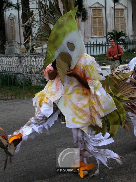 Carnaval
Carnaval de Guyane 2003
Mots-clés: Guyane;Amrique;tropiques;carnaval;festivit;dguisement