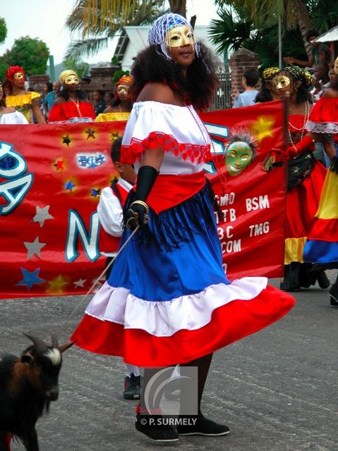 Carnaval
Carnaval de Guyane 2003
Mots-clés: Guyane;Amrique;tropiques;carnaval;festivit;dguisement