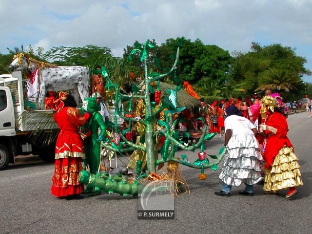 Carnaval
Carnaval de Guyane 2003
Mots-clés: Guyane;Amrique;tropiques;carnaval;festivit;dguisement