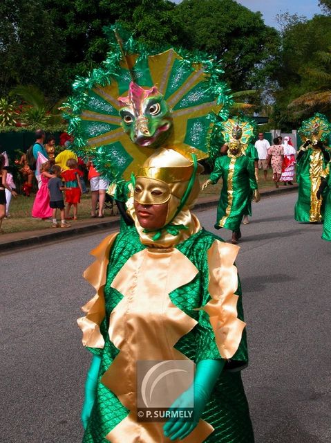 Carnaval
Carnaval de Guyane 2003
Mots-clés: Guyane;Amrique;tropiques;carnaval;festivit;dguisement