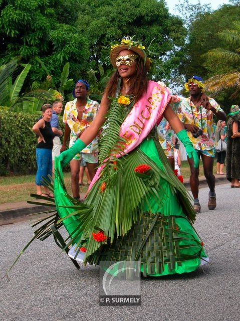 Carnaval
Carnaval de Guyane 2003
Mots-clés: Guyane;Amrique;tropiques;carnaval;festivit;dguisement