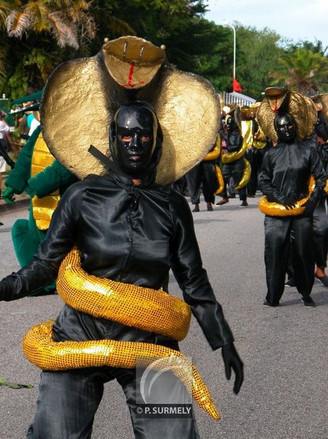 Carnaval
Carnaval de Guyane 2003
Mots-clés: Guyane;Amrique;tropiques;carnaval;festivit;dguisement