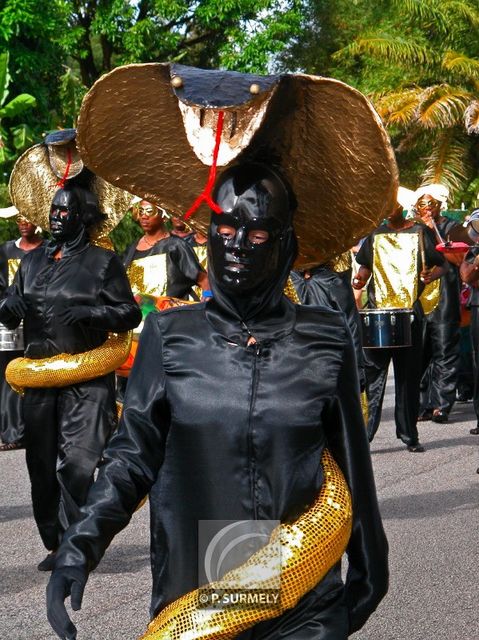 Carnaval
Carnaval de Guyane 2003
Mots-clés: Guyane;Amrique;tropiques;carnaval;festivit;dguisement