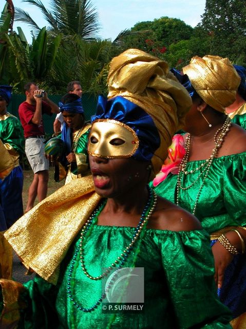 Carnaval
Carnaval de Guyane 2003
Mots-clés: Guyane;Amrique;tropiques;carnaval;festivit;dguisement