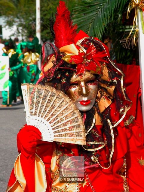 Carnaval
Carnaval de Guyane 2003
Mots-clés: Guyane;Amrique;tropiques;carnaval;festivit;dguisement