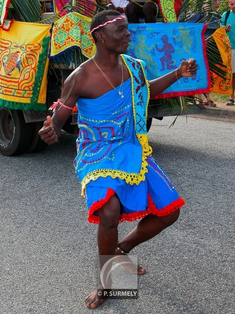 Carnaval
Carnaval de Guyane 2003
Mots-clés: Guyane;Amrique;tropiques;carnaval;festivit;dguisement