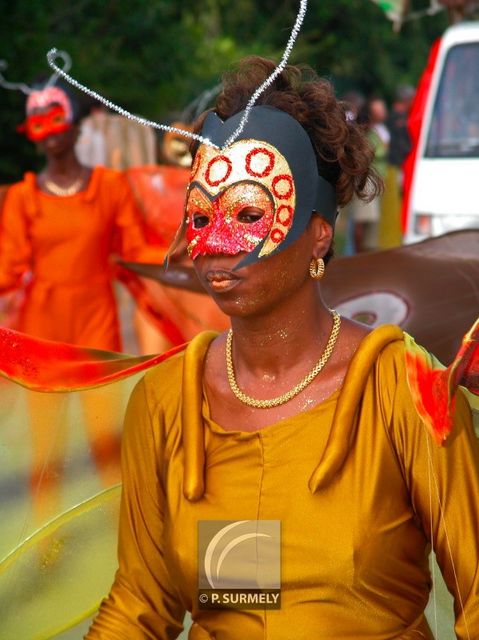 Carnaval
Carnaval de Guyane 2003
Mots-clés: Guyane;Amrique;tropiques;carnaval;festivit;dguisement