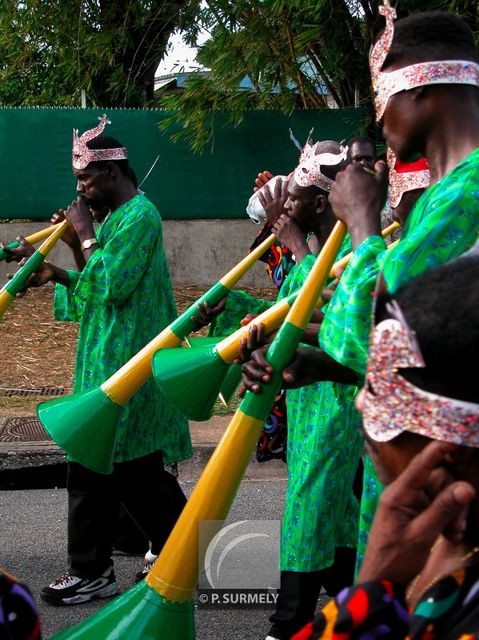 Carnaval
Carnaval de Guyane 2003
Mots-clés: Guyane;Amrique;tropiques;carnaval;festivit;dguisement