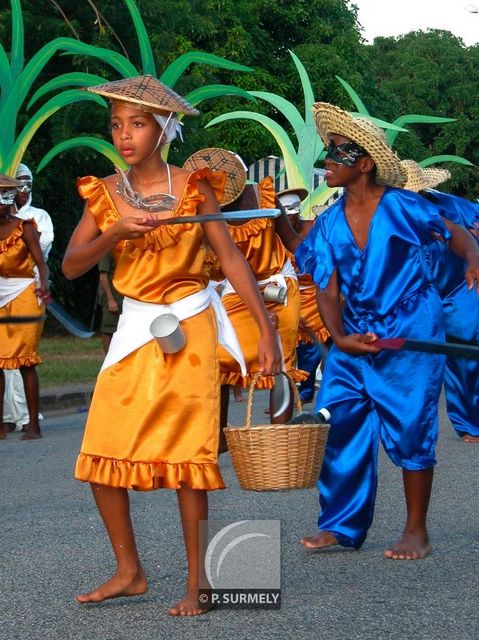 Carnaval
Carnaval de Guyane 2003
Mots-clés: Guyane;Amrique;tropiques;carnaval;festivit;dguisement