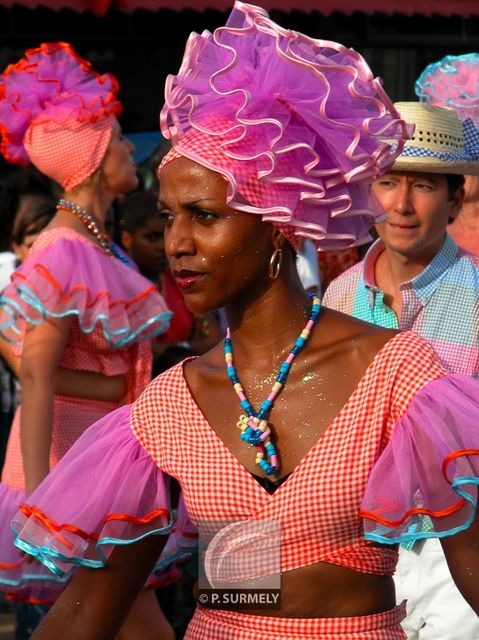 Carnaval
Carnaval de Guyane 2003
Mots-clés: Guyane;Amrique;tropiques;carnaval;festivit;dguisement