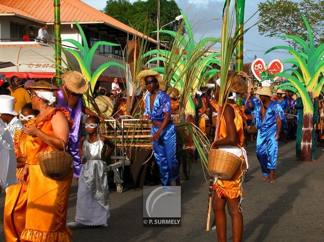 Carnaval
Carnaval de Guyane 2003
Mots-clés: Guyane;Amrique;tropiques;carnaval;festivit;dguisement