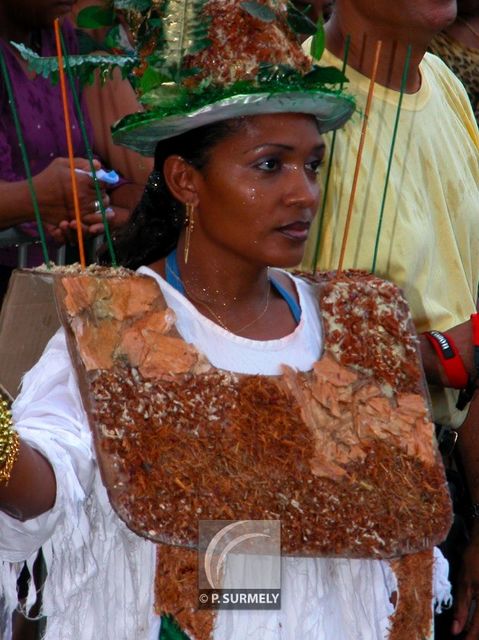 Carnaval
Carnaval de Guyane 2003
Mots-clés: Guyane;Amrique;tropiques;carnaval;festivit;dguisement