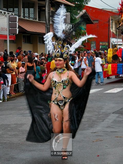 Carnaval
Carnaval de Guyane 2003
Mots-clés: Guyane;Amrique;tropiques;carnaval;festivit;dguisement