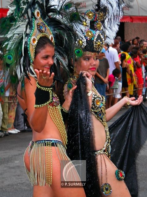 Carnaval
Carnaval de Guyane 2003
Mots-clés: Guyane;Amrique;tropiques;carnaval;festivit;dguisement