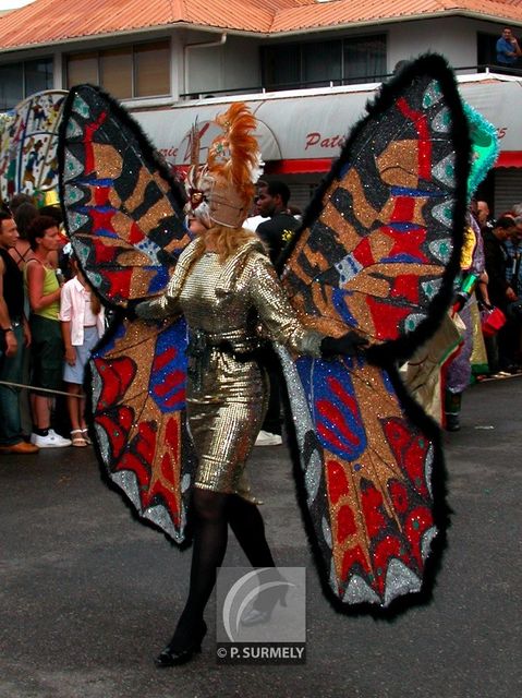 Carnaval
Carnaval de Guyane 2003
Mots-clés: Guyane;Amrique;tropiques;carnaval;festivit;dguisement