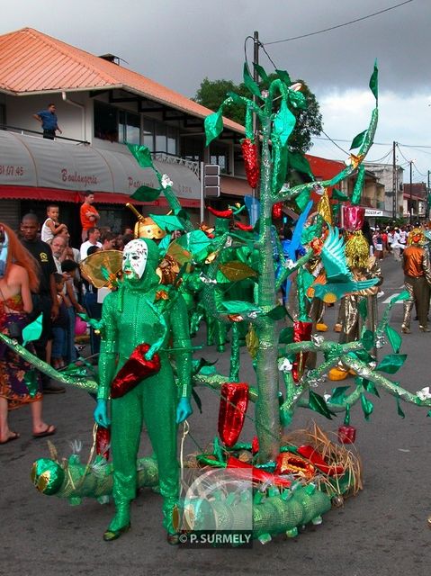 Carnaval
Carnaval de Guyane 2003
Mots-clés: Guyane;Amrique;tropiques;carnaval;festivit;dguisement