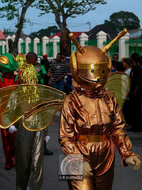 Carnaval
Carnaval de Guyane 2003
Mots-clés: Guyane;Amrique;tropiques;carnaval;festivit;dguisement