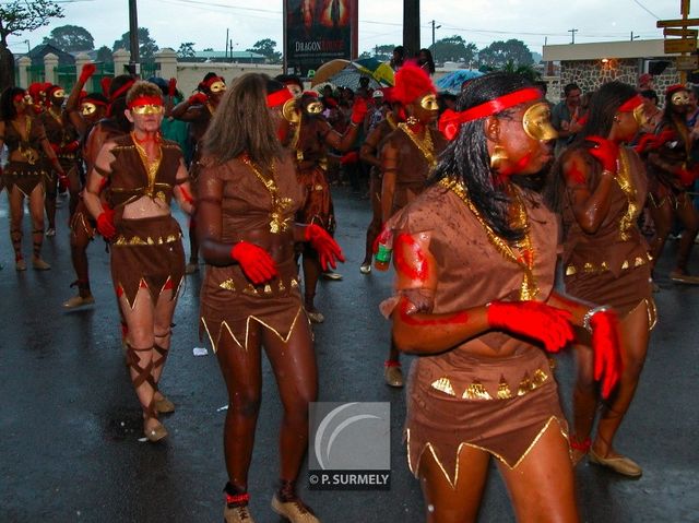 Carnaval
Carnaval de Guyane 2003
Mots-clés: Guyane;Amrique;tropiques;carnaval;festivit;dguisement