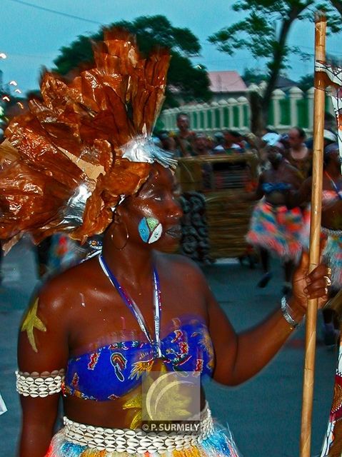 Carnaval
Carnaval de Guyane 2003
Mots-clés: Guyane;Amrique;tropiques;carnaval;festivit;dguisement