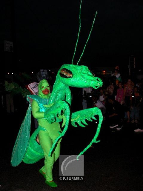 Carnaval
Carnaval de Guyane 2003
Mots-clés: Guyane;Amrique;tropiques;carnaval;festivit;dguisement