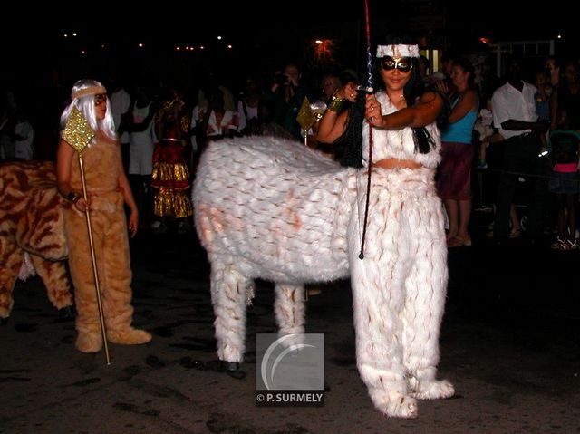 Carnaval
Carnaval de Guyane 2003
Mots-clés: Guyane;Amrique;tropiques;carnaval;festivit;dguisement