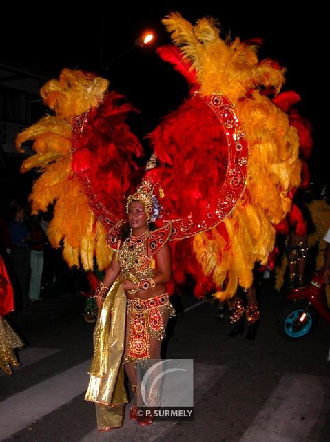 Carnaval
Carnaval de Guyane 2003
Mots-clés: Guyane;Amrique;tropiques;carnaval;festivit;dguisement