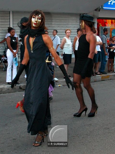 Carnaval
Carnaval de Guyane 2003
Mots-clés: Guyane;Amrique;tropiques;carnaval;festivit;dguisement