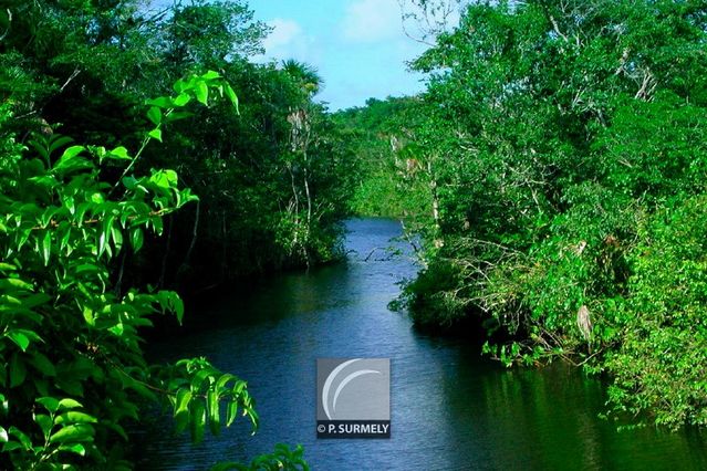 La Carouabo
Mots-clés: Guyane;Amrique;fleuve;rivire;cascade;Carouabo;Kourou