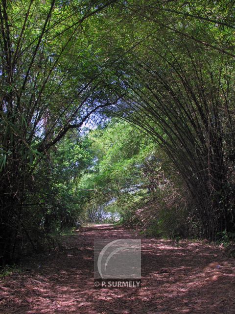 Sentier du Littoral
entre Cayenne et Rmire-Montjoly
Mots-clés: Guyane;Amrique;fort;piste;Cayenne