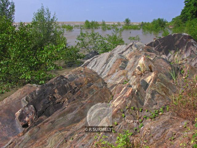 Sur le Sentier du Littoral
Mots-clés: Guyane;Amrique;ocan;Atlantique;Cayenne