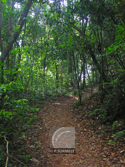 Sentier du Littoral
entre Cayenne et Rmire-Montjoly
Mots-clés: Guyane;Amrique;fort;piste;Cayenne