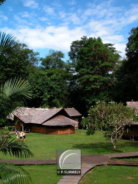 Le Camp Cisame
Mots-clés: Guyane;Amrique;Rgina;Approuague