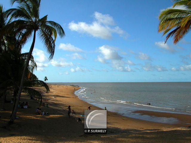 Plage de la Cocoteraie
Mots-clés: Guyane;Amrique;ocan;Atlantique;Kourou