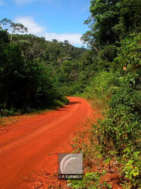 Piste Coralie
Mots-clés: Guyane;Amrique;fort;piste;Roura