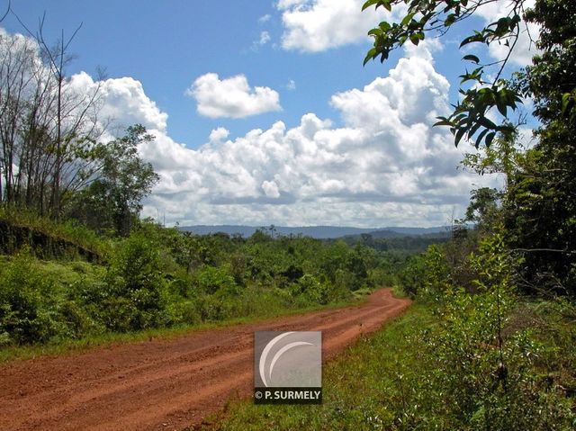 Piste de Dgrad Corrze
Mots-clés: Guyane;Amrique;fort;piste;Roura