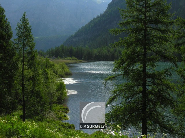 Lac de Derborence
Mots-clés: Suisse;Europe;Valais;montagne