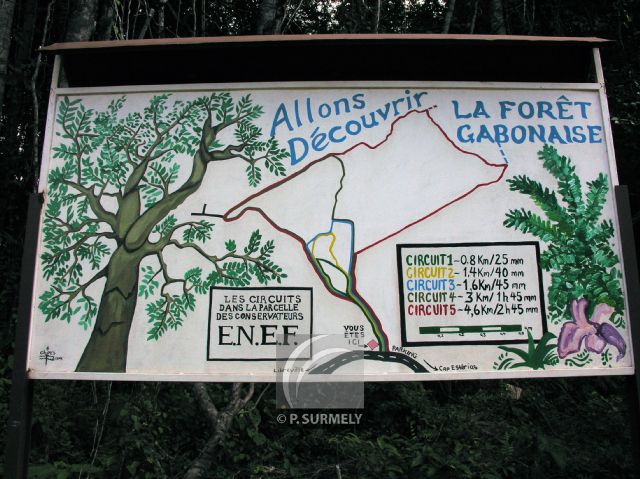 Ecole Nationale des Eaux et Forts
Panneau du sentier botanique
Mots-clés: Afrique;Gabon;tropiques;Esterias;nature;sentier;botanique