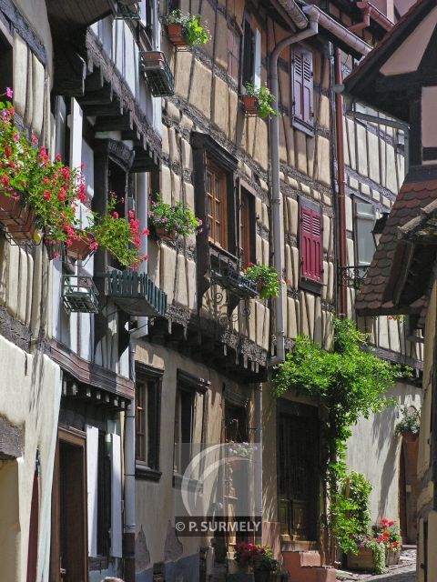 Eguisheim
Mots-clés: France;Europe;Alsace;Eguisheim