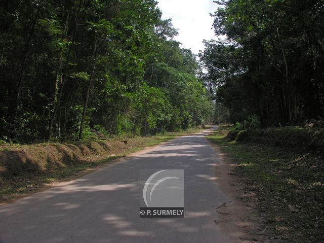 Cap Esterias
Route vers Cap Esterias
Mots-clés: Afrique;Gabon;tropiques;Esterias;nature;