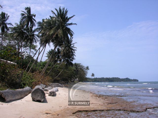 Cap Esterias
Rivage
Mots-clés: Afrique;Gabon;tropiques;Esterias;ocan;Atlantique