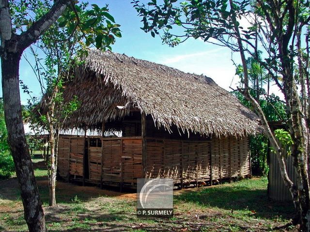 Village Favard
Mots-clés: Guyane;Amrique;Village Favard