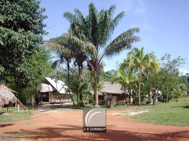 Village Favard
Mots-clés: Guyane;Amrique;Village Favard