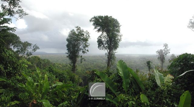 Vue depuis la Route de l'Est
Mots-clés: Guyane;Amrique;fort;piste