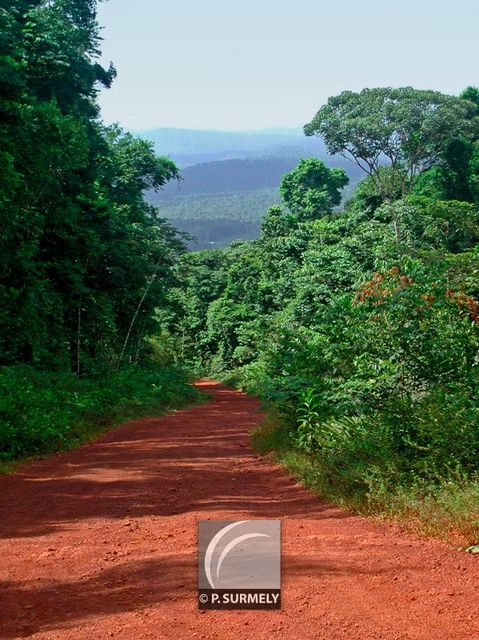 Piste de Fourgassi
Mots-clés: Guyane;Amrique;fort;piste;Roura