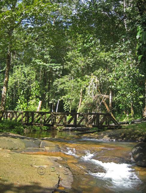 Chutes de Frougassi
Mots-clés: Guyane;Amrique;fleuve;rivire;cascade;Fourgassi