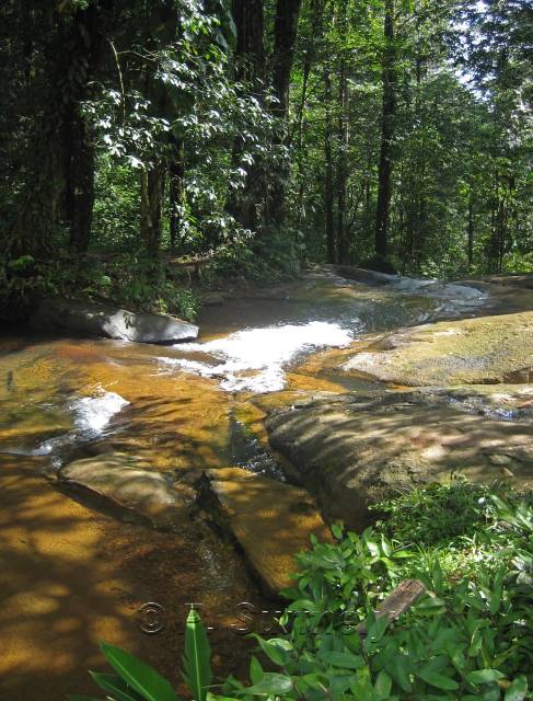 Chutes de Frougassi
Mots-clés: Guyane;Amrique;fleuve;rivire;cascade;Fourgassi